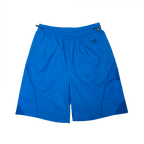 TS54_RAPTORBLUE