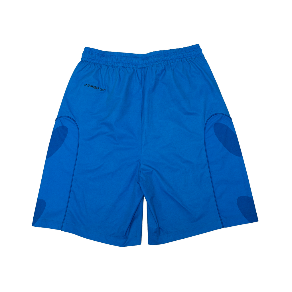 TS54_RAPTORBLUE
