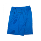 TS54_RAPTORBLUE